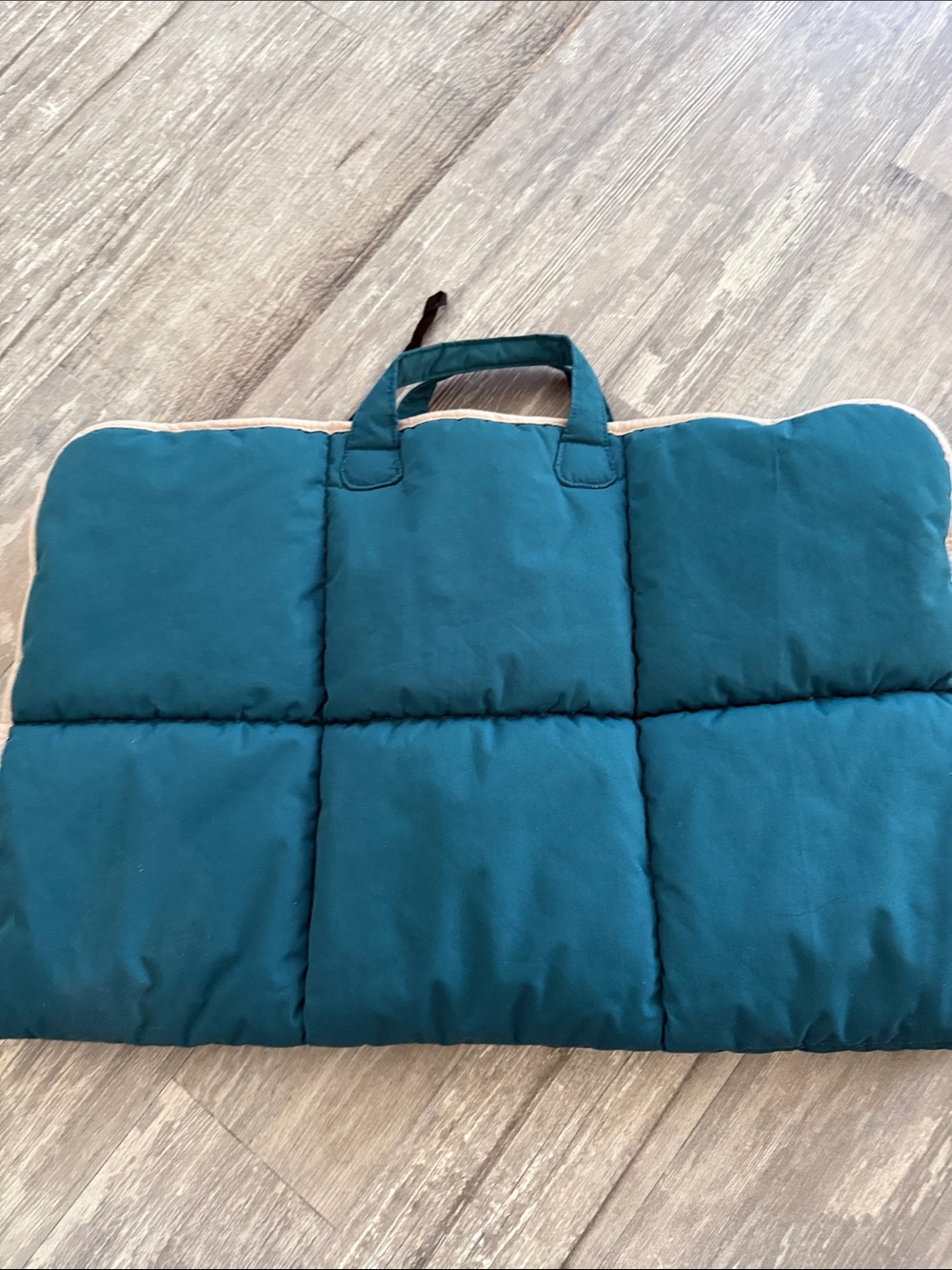 Teal Quilted Portable Padded Mat with Handle Pet bed